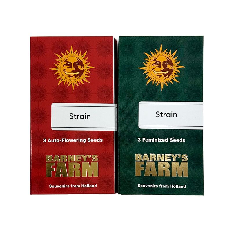 White Runtz, Фасовка: 3, изображение 2